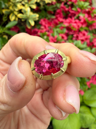 Oval Pink Tourmaline Griffen Ring