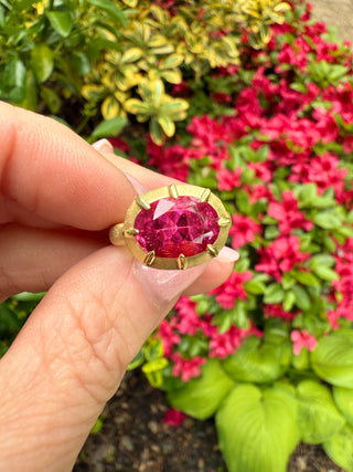 Oval Pink Tourmaline Griffen Ring
