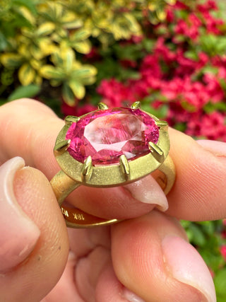 Oval Pink Tourmaline Griffen Ring