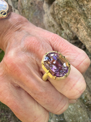 Ametrine Griffen Ring