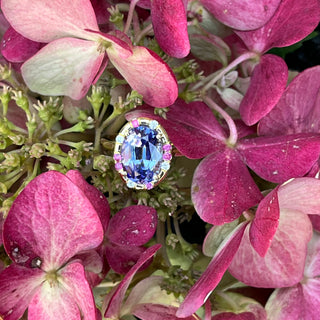 Oval Tanzanite and Pink Sapphire Sprinkle Ring