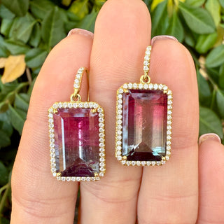 Bicolor Tourmaline Mischa Earring