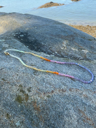 Smooth Rondelle Shaped Multicolor Beaded Necklace