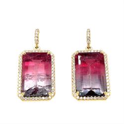 Bicolor Tourmaline Mischa Earring