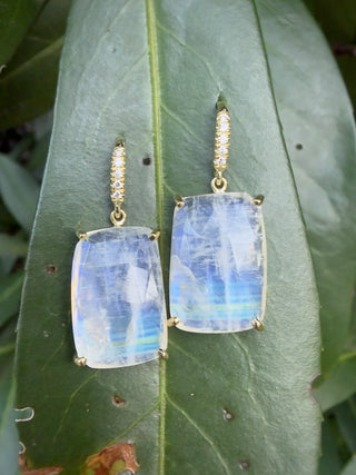 Cushion Shape Rainbow Moonstone Joyce Earrings