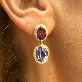 Purple Garnet and Tanzanite Griffen Earrings