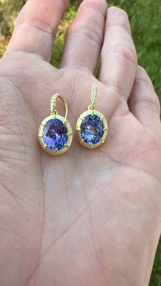 Oval Tanzanite Griffen Earrings