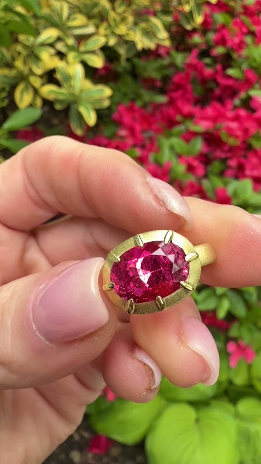 Oval Pink Tourmaline Griffen Ring