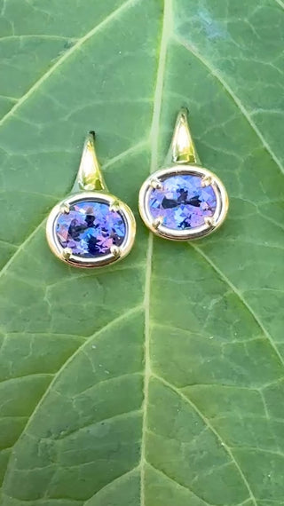 Oval Tanzanite Kindle Earrings