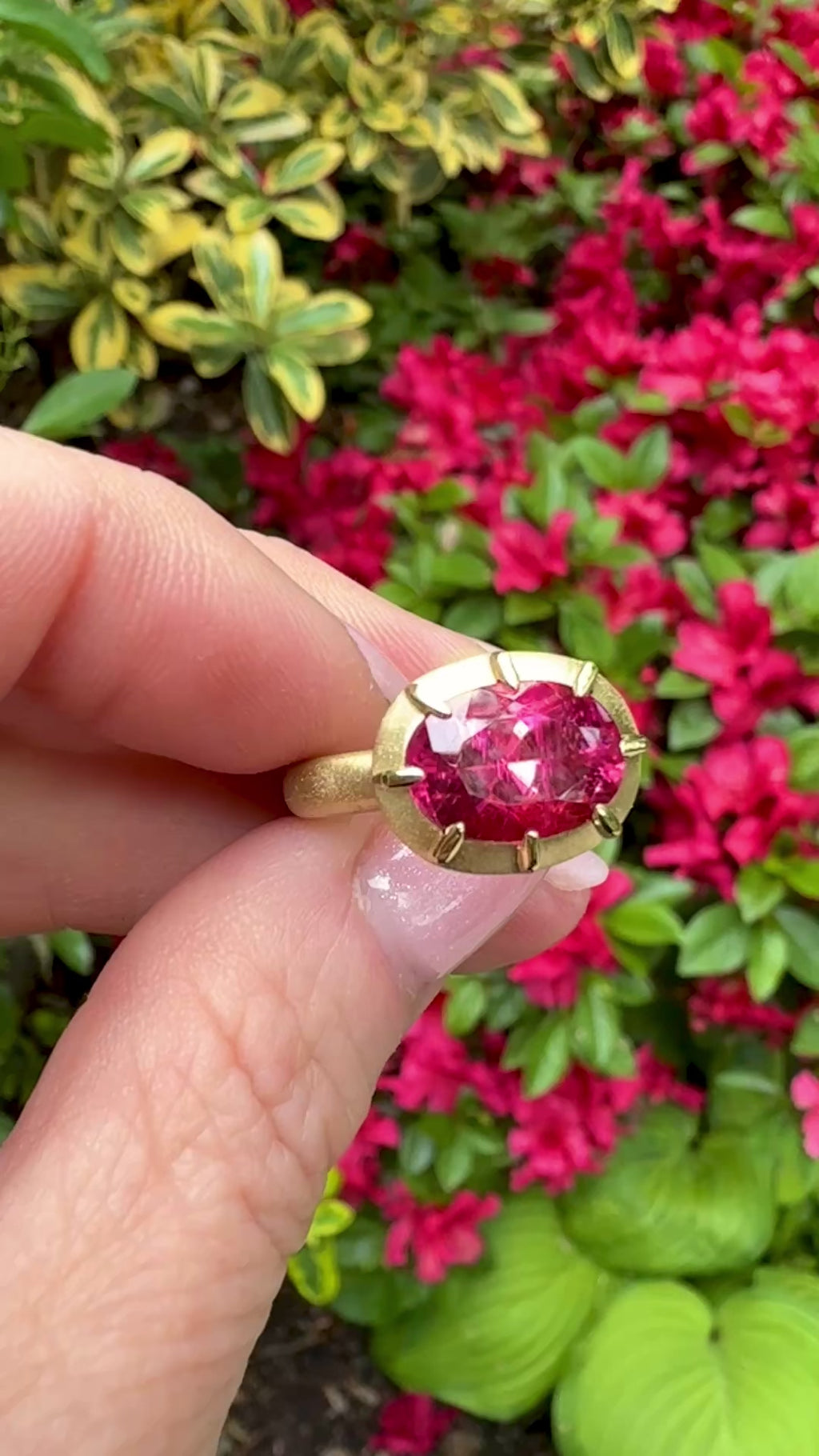Oval Pink Tourmaline Griffen Ring