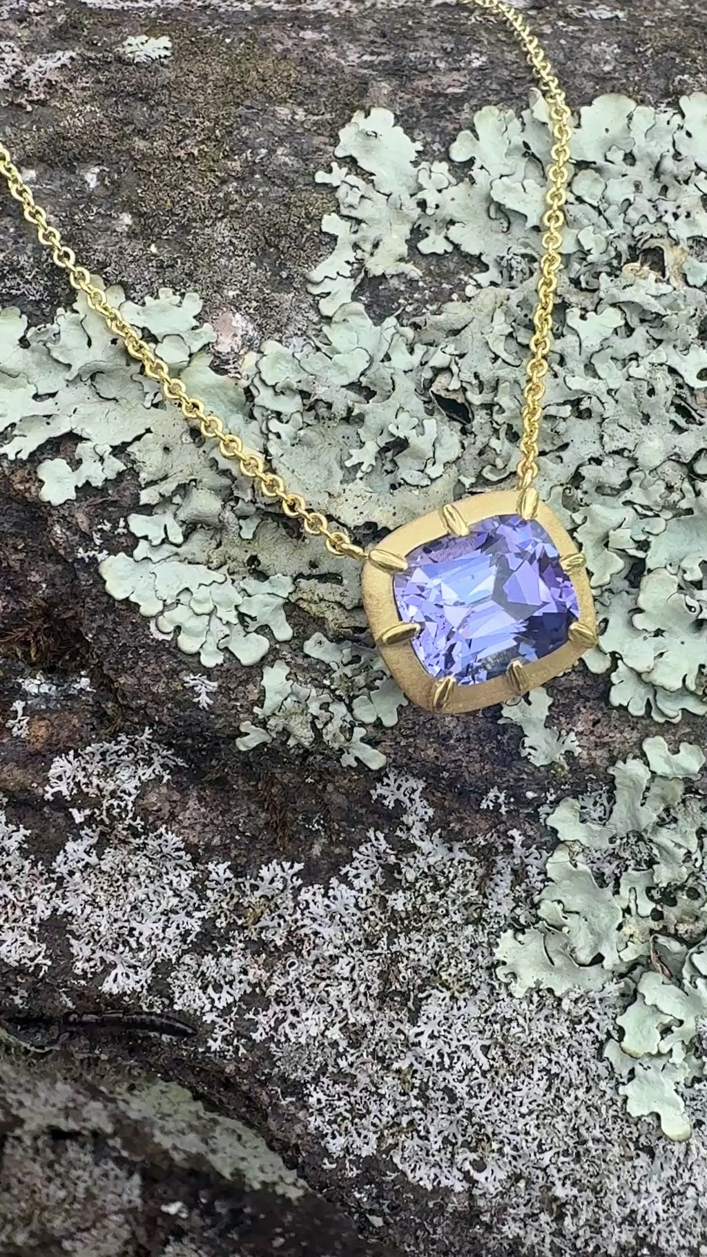Cushion Cut Tanzanite Griffen Necklace