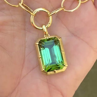 Emerald Cut Green Tourmaline Griffen Necklace