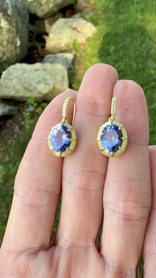 Oval Tanzanite Griffen Earrings
