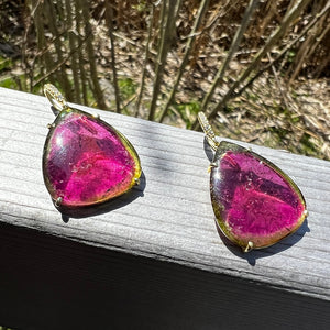 Joyce Watermelon Earring
