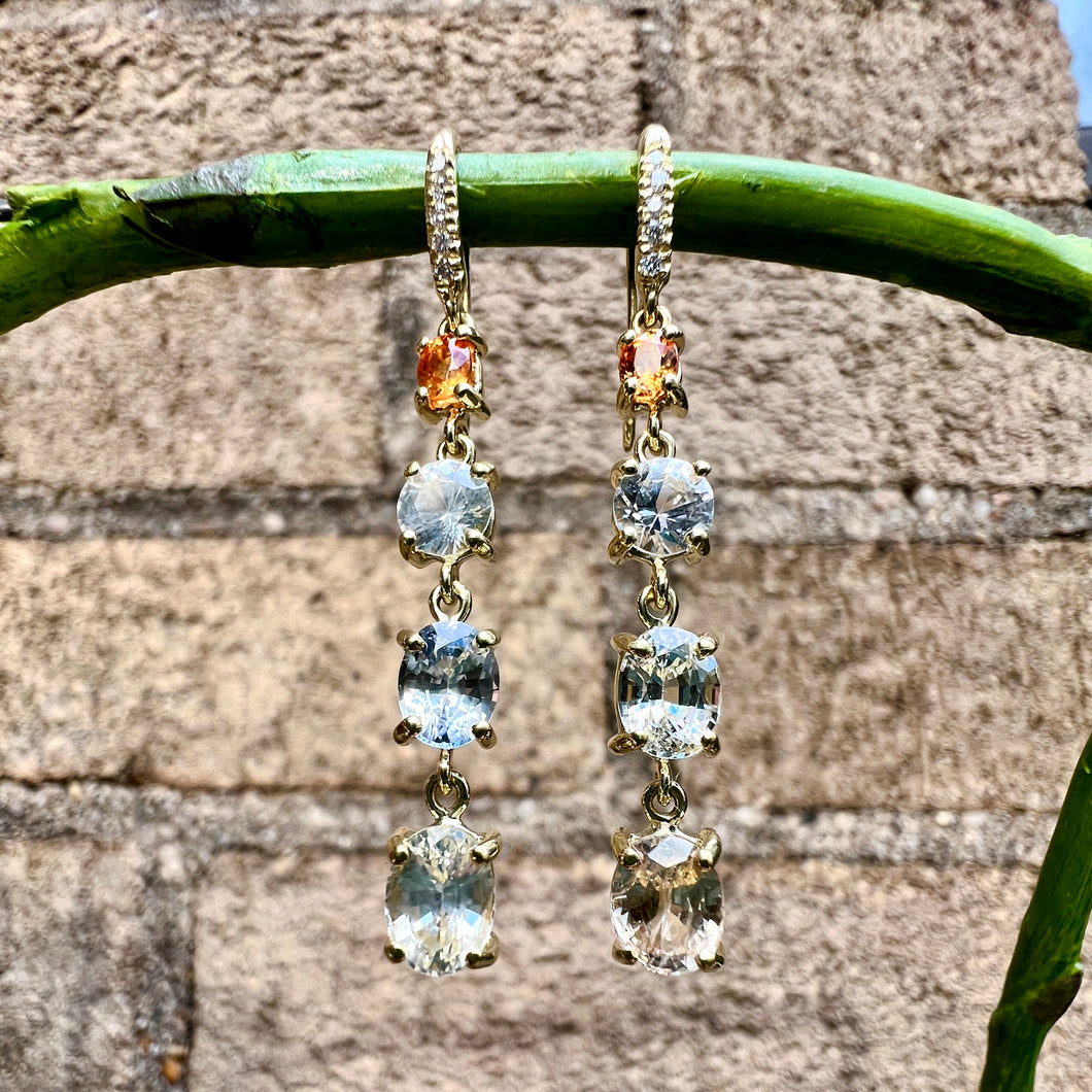Joyce Garnet and Multicolor Sapphire Four Stone Earring